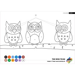 Funky Owls